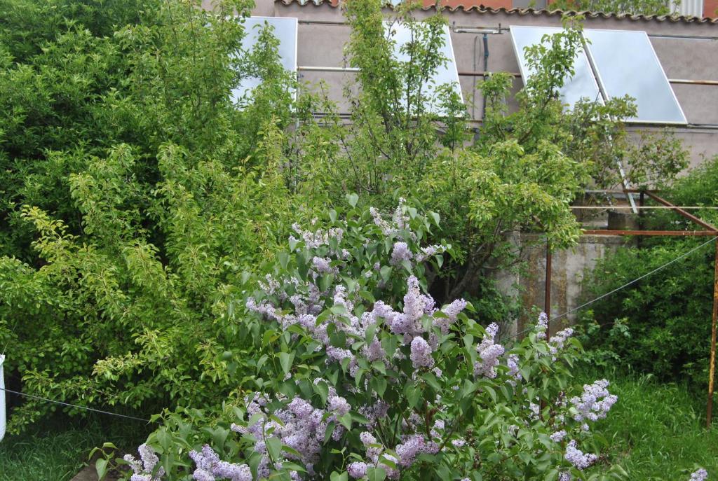 La Posada De Castrojeriz Εξωτερικό φωτογραφία
